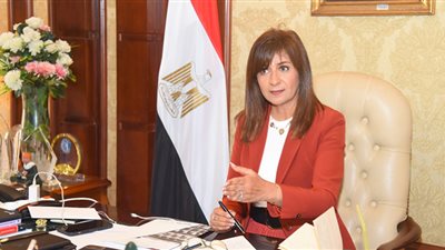 وثيقة التأمين تحتل حيزًا كبيرًا في فعاليات مؤتمر الكيانات المصرية بالخارج