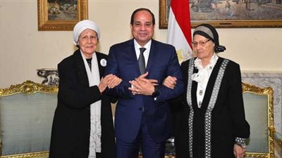 اقتراح السيسي إنشاء صندوق للأسرة ثورة أخلاقية لحماية المجتمع.. فيديو