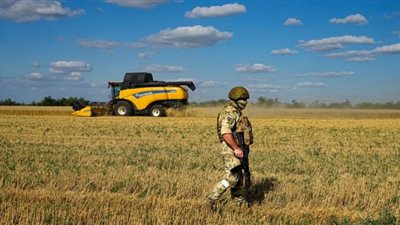 4 سفن محملة بالحبوب تغادر أوكرانيا إلى دول إفريقية وأوروبية