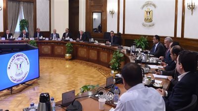 مدبولي يبحث حل مشكلة نقص الأعلاف في صناعة الدواجن