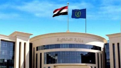 تفاصيل فيديو تعدي شاب على أمه المسنة في الغربية