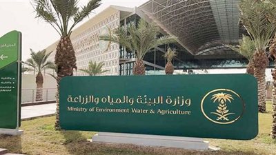 وزارة البيئة والمياه والزراعة توضح موعد دعم المواشي لشهر نوفمبر 2022