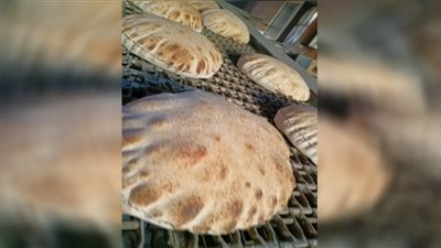 محافظ الدقهلية يحيل 48 مخالفة تموينية للنيابة العامة