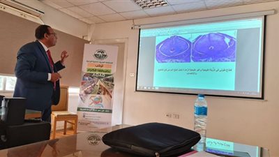 الأساليب الحديثة في إنشاء بساتين النخيل وإدارة المحصول