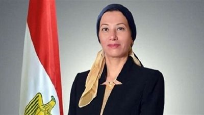 ربط مداخن كيما وميديكوم بأسوان بمنظومة الرصد الإلكترونية للانبعاثات الصناعية
