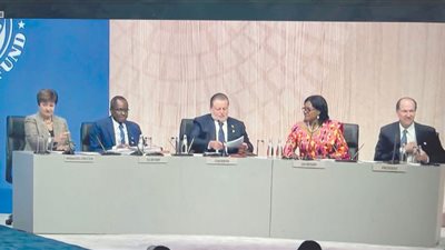 «المركزى» يطالب المجتمع الدولى بدور أكبر لدعم البلدان النامية