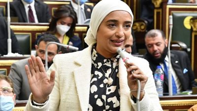 بيان عاجل للإفراج عن الأعلاف واللحوم والزيوت بالموانئ المصرية
