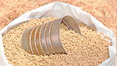 قفزة جنونية في أسعار الأعلاف اليوم