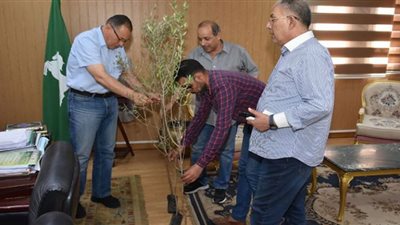 محافظ الشرقية يعلن بدء تنفيذ المبادرة الرئاسية لزراعة 100 مليون شجرة