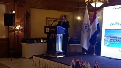 تأكيد عربى بتحقيق مصر خطوات كبيرة على طريق التنمية