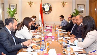 وزيرة الهجرة تبحث مع وزير قطاع الأعمال توفير محفزات للمصريين بالخارج