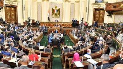 جلسة عاجلة للبرلمان| تعديل وزاري أم قرار لسد النهضة؟