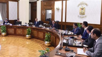 مدبولي يتابع موقف الخطة الإعلامية والتوعوية للمشروع القومي لتنمية الأسرة المصرية