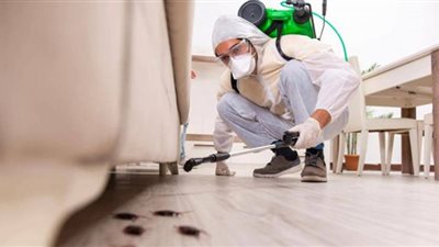 شركة الشاطر الدولية لمكافحة الحشرات بالكويت