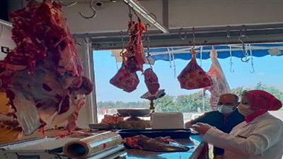 بيطري الشرقية: ضبط 326 كجم لحوم ودواجن مخالفة