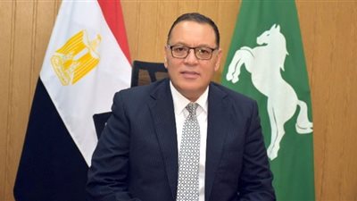 الشرقية تكثف حملاتها لإزالة الإعلانات غير المرخصة
