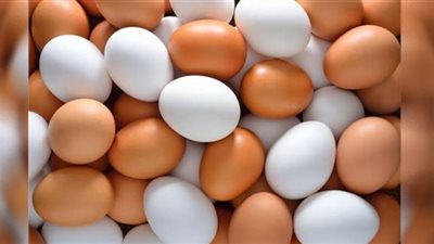 أسعار البيض في الأسواق اليوم السبت
