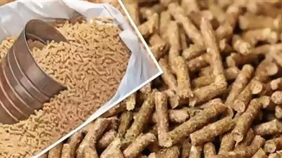 ضربة قوية للسوق السوداء للأعلاف.. وانخفاض أسعار الدواجن قريبًا (فيديو)