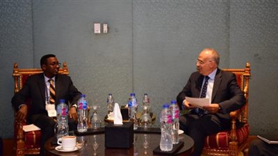 وزير الرى يبحث مع نظيره الصومالى تعزيز التعاون بين البلدين