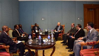 وزير الري: مصر مستعدة لدعم الصومال بمجالات المياه الجوفية