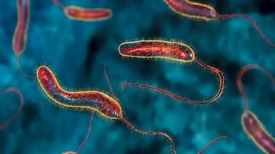 الكوليرا يضرب لبنان بقوة وتزايد الإصابات