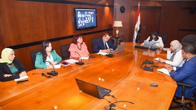 لقاء تفاعلي مع عدد من أعضاء الجالية المصرية في الإمارات