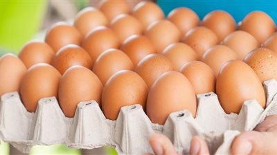 هبوط مفاجئ في أسعار البيض اليوم