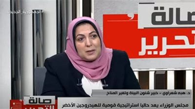 4 مليارات دولار استثمارات الهيدروجين الأخضر بمصر في 2024 (فيديو)