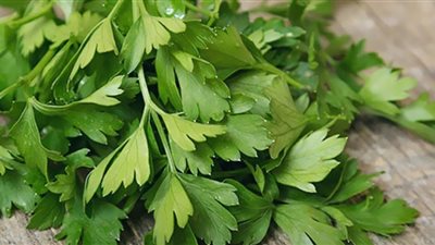 (يساعد على الهضم) 5 فوائد للبقدونس