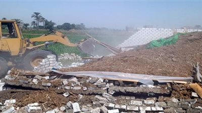 إزالة 191 حالة تعد على الأراض في بني سويف