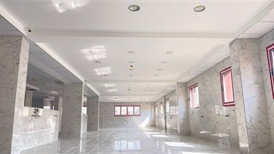 صحة الدقهلية: إجراء 39 ألف جلسة غسيل كلوي شهريا