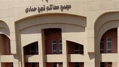 أنهت حياة طفلتها.. إحالة أوراق سيدة للمفتى