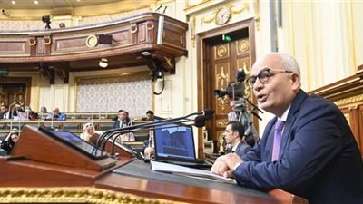تفاصيل تصريحات وزير التربية والتعليم في مجلس النواب