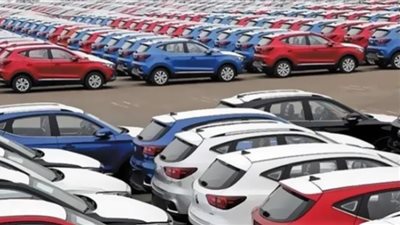 التلاعب في قرار إعفاء السيارات من الجمارك جريمة جنائية (فيديو)