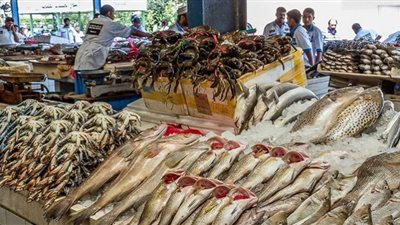 أسعار الأسماك في الأسواق اليوم