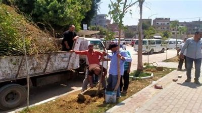 مراكز الشرقية تتجمل بزراعة 100 مليون شجرة بالمبادرة الرئاسية للتشجير
