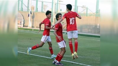 أهلى 2008 يستقيل غزل المحلة في بطولة الجمهورية