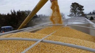تراجع صادرات الحبوب الأوكرانية