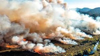 البيئة العالمي: مصر عليها مسؤولية كبيرة في قمة المناخ «COP 27» (شاهد)