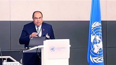 محيى الدين يؤكد امتلاك مصر محطات طاقة شمسية عالمية