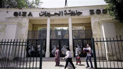 حقيقة غلق حديقة الحيوان لمدة عام كامل (خاص)