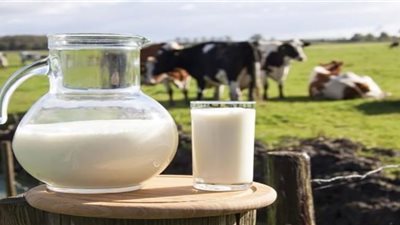 مصر تتربع على عرش إنتاج الألبان خلال شهر
