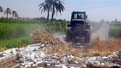 إزالة 145 حالة ضمن المرحلة الأولى من الموجة الــ20 في بنى سويف