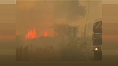 العالم يشتعل.. حرائق الغابات في فرنسا تلتهم آلاف الأفدنة (شاهد)