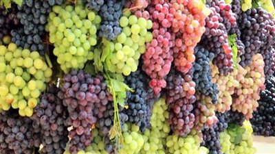 دراسة تكشف عن أفضل فاكهة لزيادة العمر