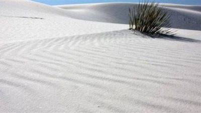 الغرفة التجارية تُطالب بمنع تصدير الرمال البيضاء للخارج