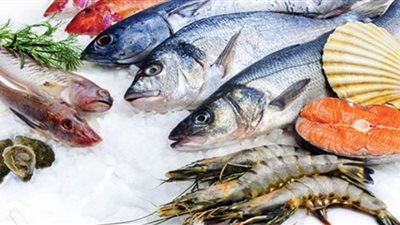 البوري بـ87 جنيهًا.. أسعار السمك اليوم الخميس عند التاجر