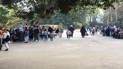 حديقة الحيوان بالجيزة تواصل استقبال الزائرين.. صور