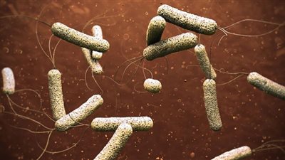 الكوليرا يضرب لبنان.. تجهيز مستشفيات ميدانية