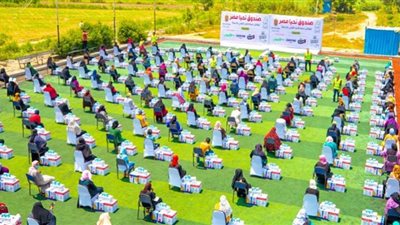 صندوق تحيا مصر في 2022.. حصاد الخير وجبر الخواطر